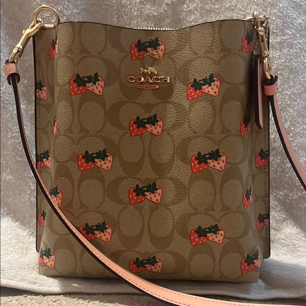 Coach Mollie Bucket Bag 22 Strawberry